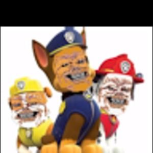 Meet your Posher, Braydan